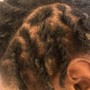 Starter locs