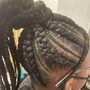 Braided Ponytail with Weave