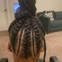 Braided Ponytail with Weave