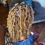 Starter Locs