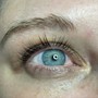 Elleebana Lash Lift and Tint