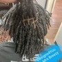 Full Loc Highlights (Roots to Ends)