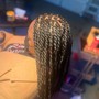 Starter Locs