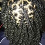 Adult starter locs