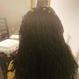 Dreadlocks Takedown (any length)