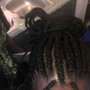 Havana Twists