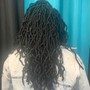 Dreadlocks Beginner’s