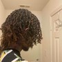 Starter Locs  (Two-Strand Twist)