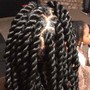 Regular medium Box Braids