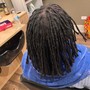 Starter Locs Ear Length