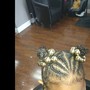 Bantu knots