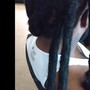 Butterfly locs shoulder length