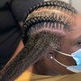 Butterfly Locs touch up