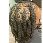 Starter Locs Ear Length