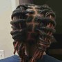 Starter Locs (Medium)