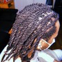 Starter Locs