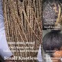 Knotless Braids - Small