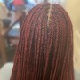 Box Braids/knotless