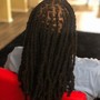 Mini Micro twist or braid locs