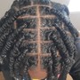 Starter locs