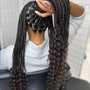 Havana Twists