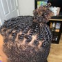 Natural Hair Style (style only)