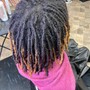 Root Touch Up