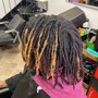 Root Touch Up