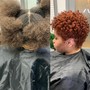 Root Touch Up