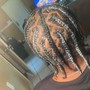 Feed in Braids (small)