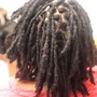 Starter Locs w/ style