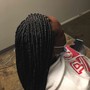 Fulani braids w sew in