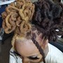 Touch Up Roots