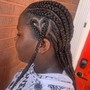 Feed-in Braids