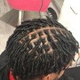 Starter Locs