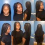 Medium Havana Twists