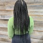 Large Singles/ Twists full head