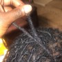 Wig Maintenance/Touchup