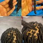 Starter Locs ( 2 strand) short hair