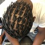 Starter Locs (full head)