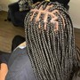 Traditional Box Braids (LARGE)