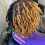 Coil Starter Locs (ear length)