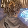 Medium/Large Starter Locs