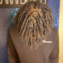 Medium/Large Starter Locs