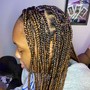 Feed in braids