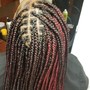 Small Knotless or Goddess Braids