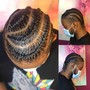 Feed in Braided Ponytail