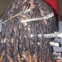 Starter Locs