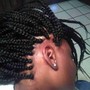 Havana Twists