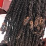 Wash W/ Retwist + Unisex Loc Style w/Human Hair Extensions